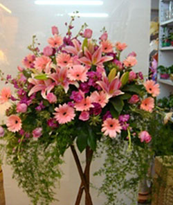 粉紅色太陽菊,紫羅蘭+玫瑰花BA622