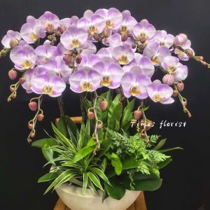P18   12支粉中花